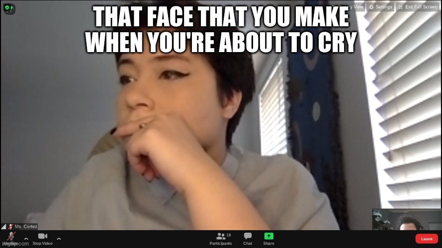 Cry | THAT FACE THAT YOU MAKE WHEN YOU'RE ABOUT TO CRY | image tagged in teacher,crying | made w/ Imgflip meme maker