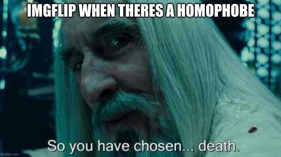 true | IMGFLIP WHEN THERES A HOMOPHOBE | image tagged in so you have chosen death | made w/ Imgflip meme maker