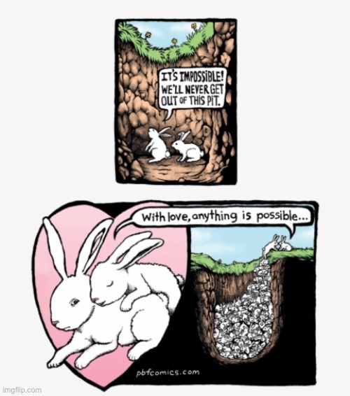 Love | image tagged in rabbit,love,hole | made w/ Imgflip meme maker
