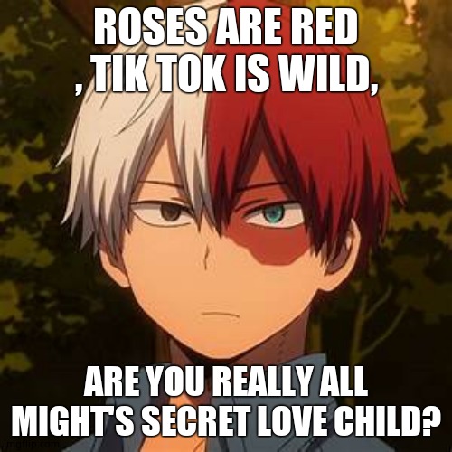 TODOROKI | ROSES ARE RED , TIK TOK IS WILD, ARE YOU REALLY ALL MIGHT'S SECRET LOVE CHILD? | image tagged in todoroki | made w/ Imgflip meme maker