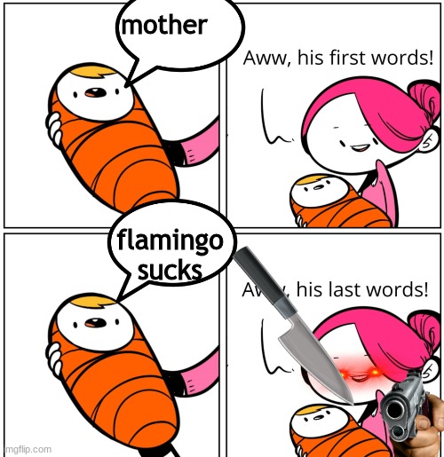 flamgo | mother; flamingo sucks | image tagged in aww his last words,flamingo | made w/ Imgflip meme maker