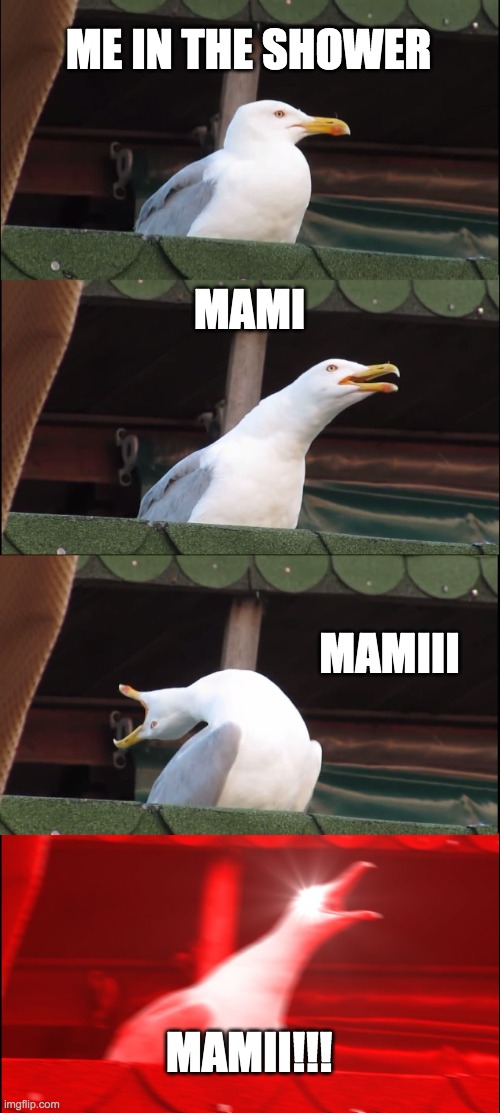 me in the shower when i forget my towel | ME IN THE SHOWER; MAMI; MAMIII; MAMII!!! | image tagged in memes,inhaling seagull | made w/ Imgflip meme maker