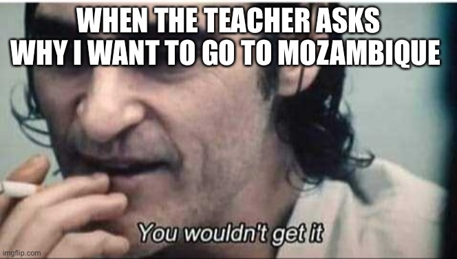 You wouldn't get it | WHEN THE TEACHER ASKS WHY I WANT TO GO TO MOZAMBIQUE | image tagged in you wouldn't get it | made w/ Imgflip meme maker