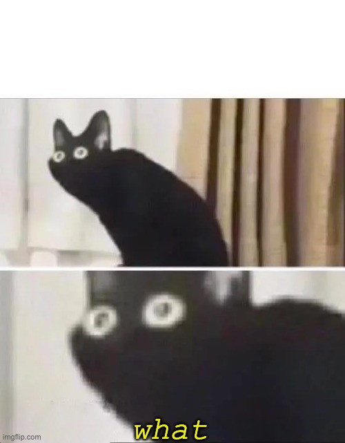 Oh No Black Cat | what | image tagged in oh no black cat | made w/ Imgflip meme maker