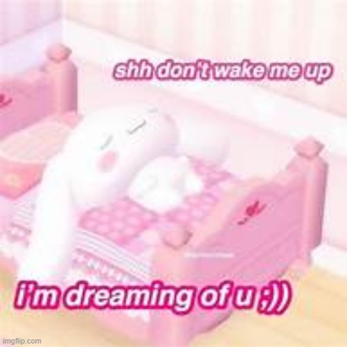 shhhhh smol bebe sleeping | made w/ Imgflip meme maker
