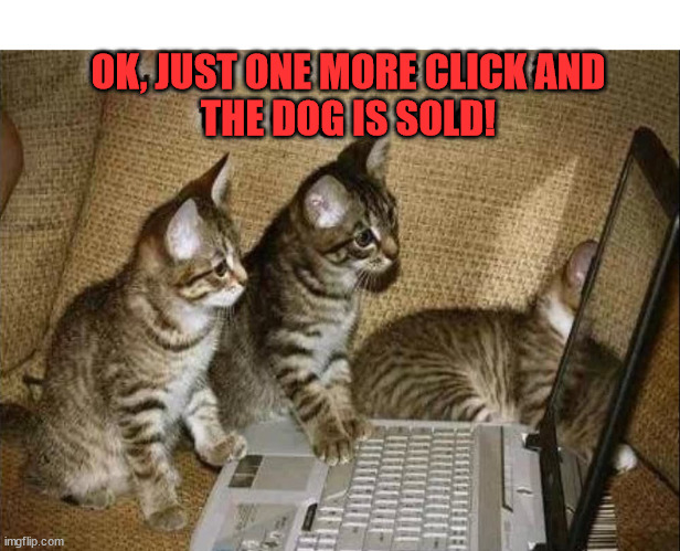 OK, JUST ONE MORE CLICK AND
THE DOG IS SOLD! | image tagged in cats | made w/ Imgflip meme maker