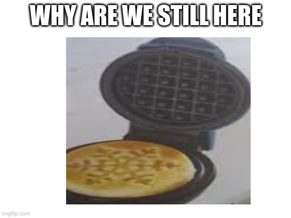 Thats not how it works | WHY ARE WE STILL HERE | image tagged in waffle | made w/ Imgflip meme maker