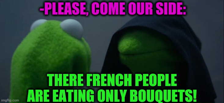 -Not being shy. | -PLEASE, COME OUR SIDE:; THERE FRENCH PEOPLE ARE EATING ONLY BOUQUETS! | image tagged in memes,evil kermit,fun fact frog,french fries,kitchen nightmares,dark side | made w/ Imgflip meme maker