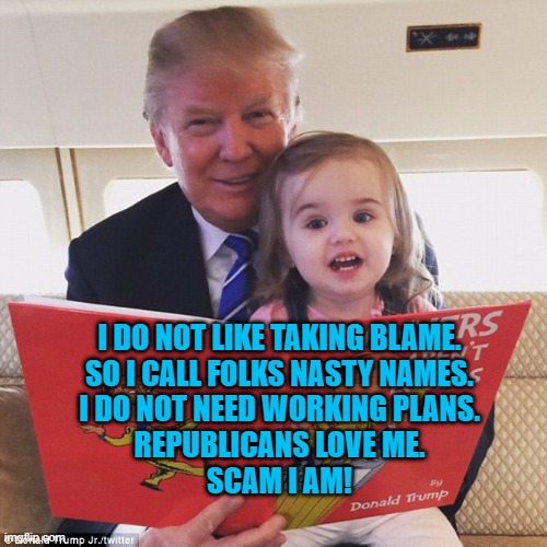 Elementary Politics. | I DO NOT LIKE TAKING BLAME.
SO I CALL FOLKS NASTY NAMES.
I DO NOT NEED WORKING PLANS.
REPUBLICANS LOVE ME.
SCAM I AM! | image tagged in politics | made w/ Imgflip meme maker