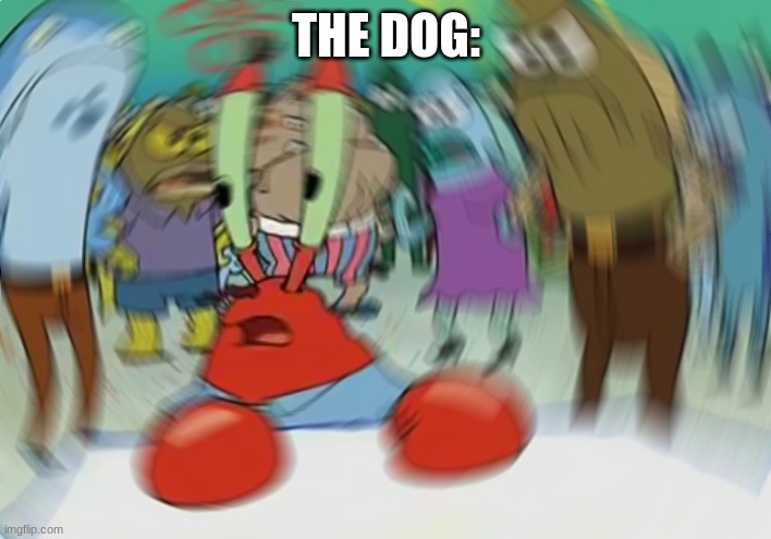 Mr Krabs Blur Meme Meme | THE DOG: | image tagged in memes,mr krabs blur meme | made w/ Imgflip meme maker