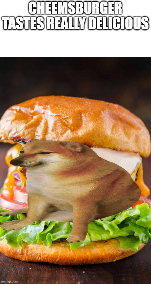 Not here to steal a meme just here to make a dead meme back to life |  CHEEMSBURGER TASTES REALLY DELICIOUS | image tagged in cheems,dead meme,memes | made w/ Imgflip meme maker
