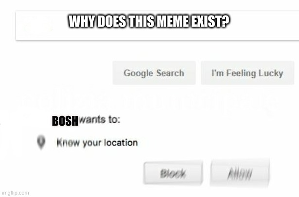 would like to know your location | WHY DOES THIS MEME EXIST? BOSH | image tagged in would like to know your location | made w/ Imgflip meme maker