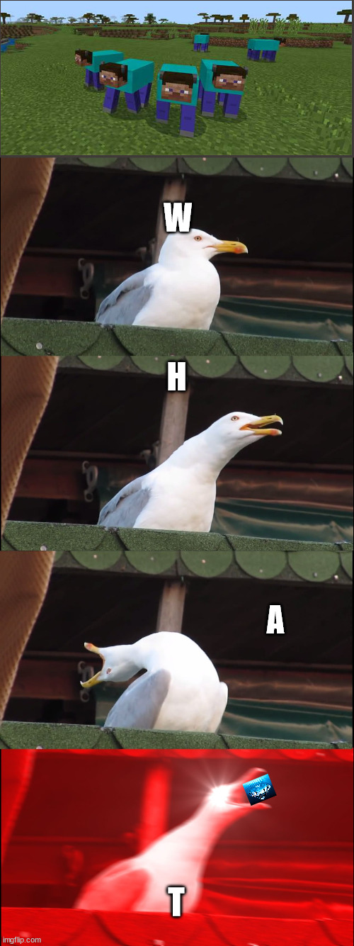 Steep | W; H; A; T | image tagged in memes,inhaling seagull | made w/ Imgflip meme maker