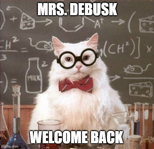 Cat teacher | MRS. DEBUSK; WELCOME BACK | image tagged in cat teacher | made w/ Imgflip meme maker
