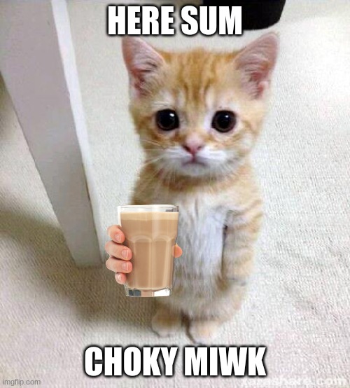 Cute Cat | HERE SUM; CHOKY MIWK | image tagged in memes,cute cat | made w/ Imgflip meme maker