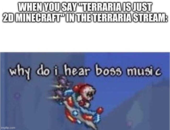 YES | WHEN YOU SAY "TERRARIA IS JUST 2D MINECRAFT" IN THE TERRARIA STREAM: | image tagged in why do i hear boss music | made w/ Imgflip meme maker