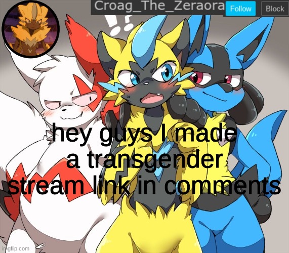 it's a safe place for everyone :3 | hey guys I made a transgender stream link in comments | image tagged in zeraora announcement | made w/ Imgflip meme maker