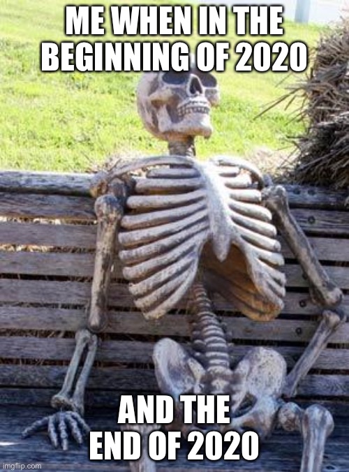Waiting Skeleton Meme | ME WHEN IN THE BEGINNING OF 2020; AND THE END OF 2020 | image tagged in memes,waiting skeleton | made w/ Imgflip meme maker