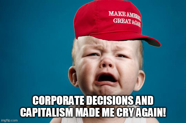 Whenever a company makes a decision the MAGA crowd doesn't like. Then they embrace "Cancel Culture." | CORPORATE DECISIONS AND CAPITALISM MADE ME CRY AGAIN! | image tagged in baby crying | made w/ Imgflip meme maker