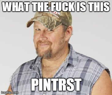Larry The Cable Guy Meme | WHAT THE F**K IS THIS PINTRST | image tagged in memes,larry the cable guy | made w/ Imgflip meme maker