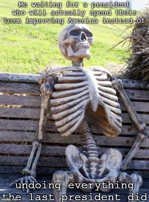 Idk what our presidents are doing | Me waiting for a president who will actually spend their term improving America instead of; undoing everything the last president did | image tagged in memes,waiting skeleton | made w/ Imgflip meme maker