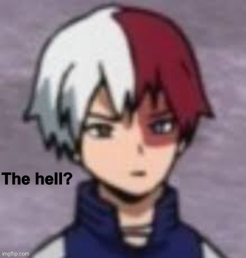 New temp | image tagged in shoto the hell | made w/ Imgflip meme maker