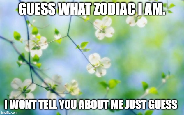 plz first post here 2 so peace yall | GUESS WHAT ZODIAC I AM. I WONT TELL YOU ABOUT ME JUST GUESS | image tagged in flowers | made w/ Imgflip meme maker