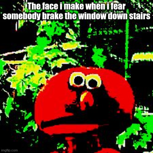 The face i make when i fear somebody brake the window down stairs | image tagged in funny,elmo,scary | made w/ Imgflip meme maker