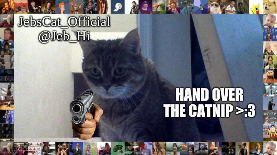 Tadpoles Template | HAND OVER THE CATNIP >:3 | image tagged in tadpoles template | made w/ Imgflip meme maker