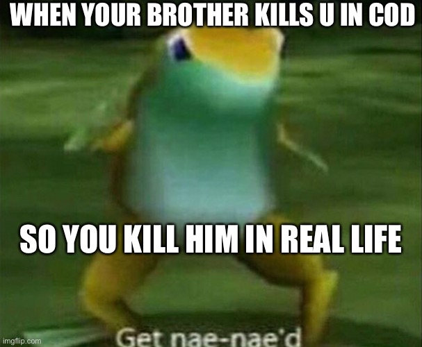 Get nae-nae'd | WHEN YOUR BROTHER KILLS U IN COD; SO YOU KILL HIM IN REAL LIFE | image tagged in get nae-nae'd | made w/ Imgflip meme maker
