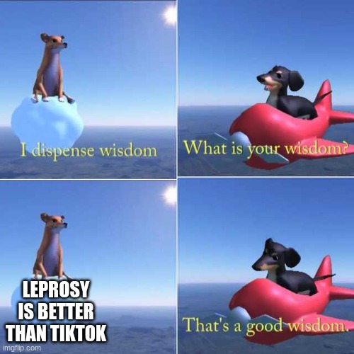 Wisdom Dog | LEPROSY IS BETTER THAN TIKTOK | image tagged in wisdom dog | made w/ Imgflip meme maker