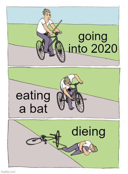 2020 | going into 2020; eating a bat; dieing | image tagged in memes,bike fall | made w/ Imgflip meme maker