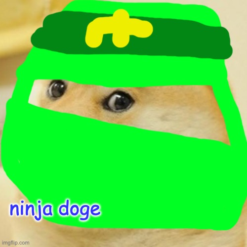 ninja doge | ninja doge | image tagged in memes,doge | made w/ Imgflip meme maker