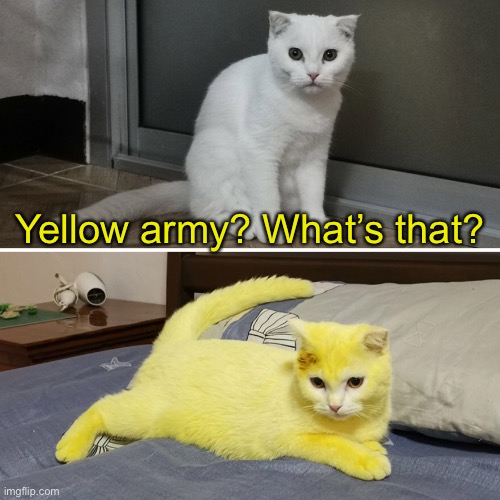 Yellow army? What’s that? | made w/ Imgflip meme maker