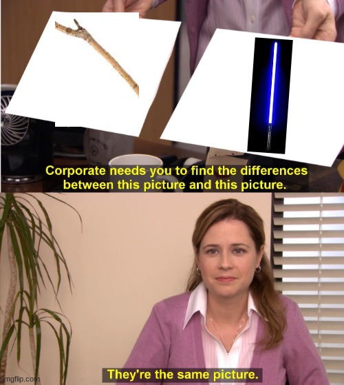 They're The Same Picture Meme | image tagged in memes,they're the same picture | made w/ Imgflip meme maker