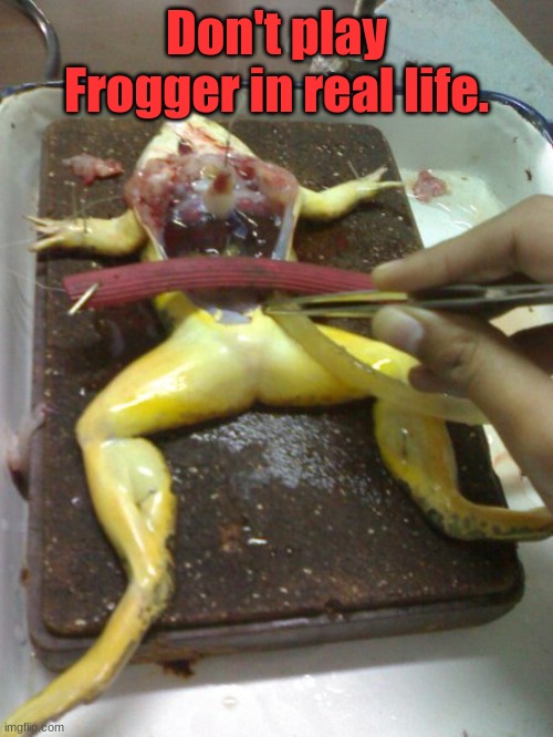 Frog | Don't play Frogger in real life. | image tagged in dissecting frog | made w/ Imgflip meme maker