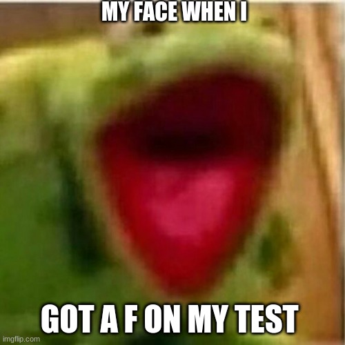ahhhhhhhhhhhhhhhhhhhhhh! | MY FACE WHEN I; GOT A F ON MY TEST | image tagged in ahhhhhhhhhhhhh | made w/ Imgflip meme maker