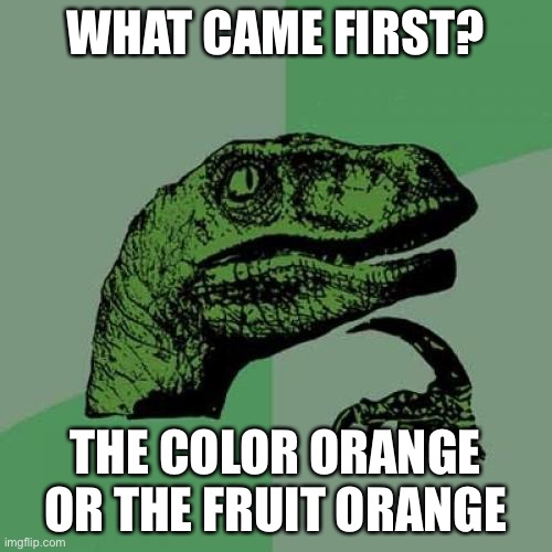 Have you ever thought of this? | WHAT CAME FIRST? THE COLOR ORANGE OR THE FRUIT ORANGE | image tagged in memes,philosoraptor,orange | made w/ Imgflip meme maker