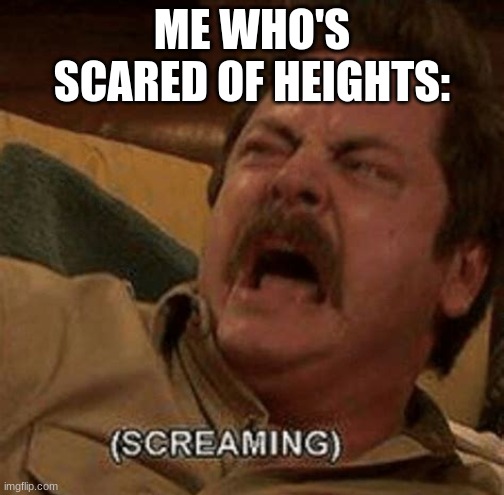 ME WHO'S SCARED OF HEIGHTS: | made w/ Imgflip meme maker
