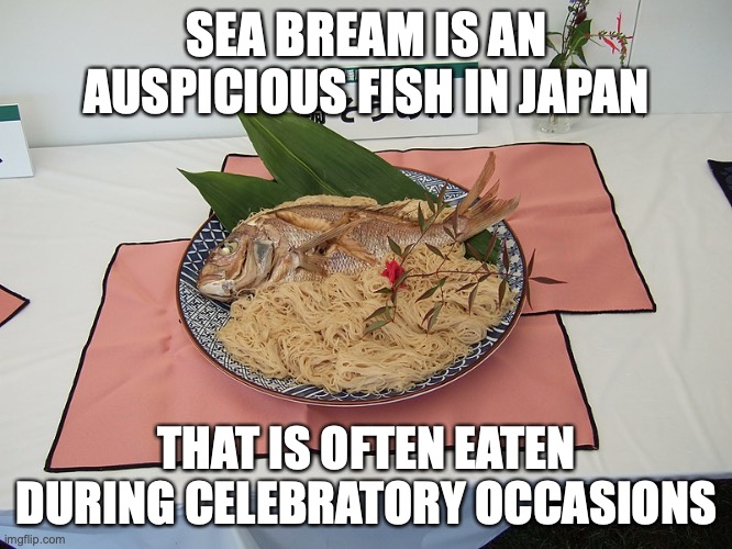 Sea Bream Noodles | SEA BREAM IS AN AUSPICIOUS FISH IN JAPAN; THAT IS OFTEN EATEN DURING CELEBRATORY OCCASIONS | image tagged in food,noodles,memes | made w/ Imgflip meme maker