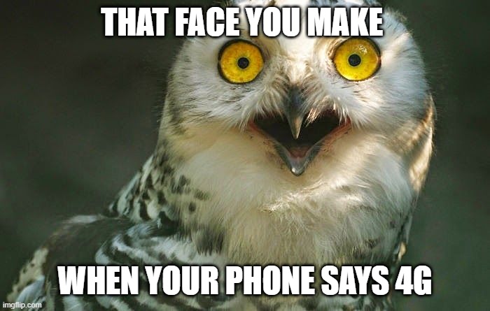 shocked face | THAT FACE YOU MAKE; WHEN YOUR PHONE SAYS 4G | image tagged in shocked face | made w/ Imgflip meme maker