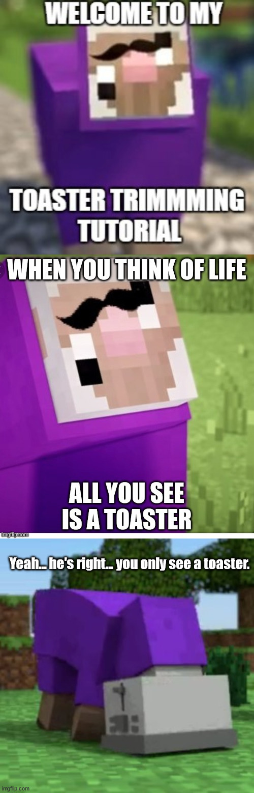 maybe think before you put your head in a toaster? | Yeah... he's right... you only see a toaster. | image tagged in purple shep,memes,minecraft | made w/ Imgflip meme maker