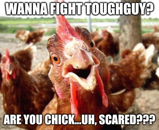 Chicken | WANNA FIGHT TOUGHGUY? ARE YOU CHICK...UH, SCARED??? | image tagged in chicken | made w/ Imgflip meme maker
