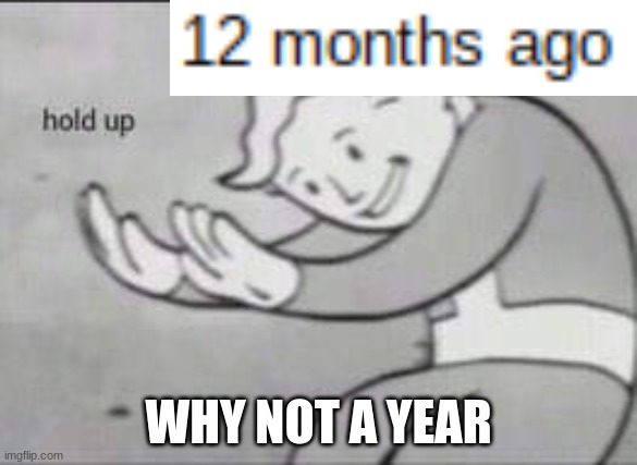 just why? | WHY NOT A YEAR | image tagged in fallout hold up | made w/ Imgflip meme maker