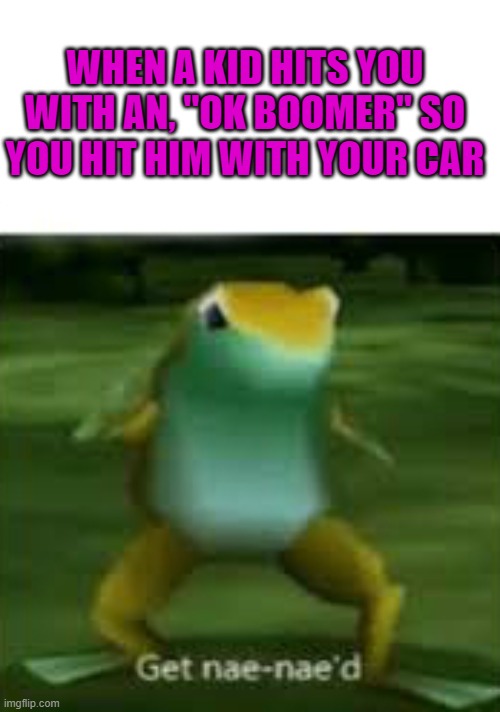 Get nae nae'd | WHEN A KID HITS YOU WITH AN, "OK BOOMER" SO YOU HIT HIM WITH YOUR CAR | made w/ Imgflip meme maker