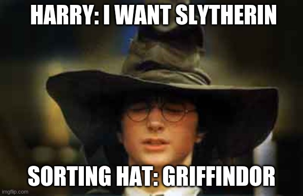 i hate slytherin | HARRY: I WANT SLYTHERIN; SORTING HAT: GRIFFINDOR | image tagged in harry potter sorting hat | made w/ Imgflip meme maker