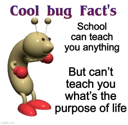 Cool | School can teach you anything; But can’t teach you what’s the purpose of life | image tagged in cool bug facts | made w/ Imgflip meme maker