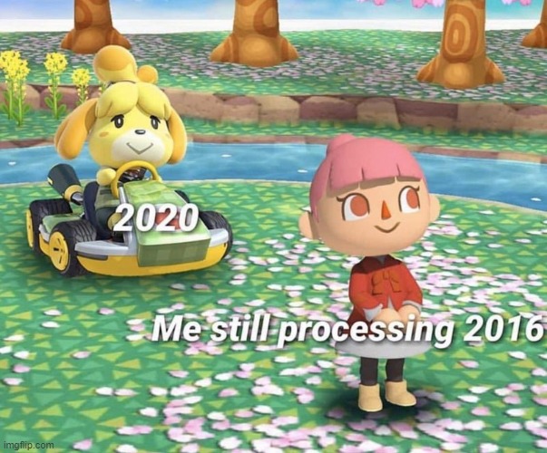 Isabelle go zoomm | image tagged in animal crossing | made w/ Imgflip meme maker