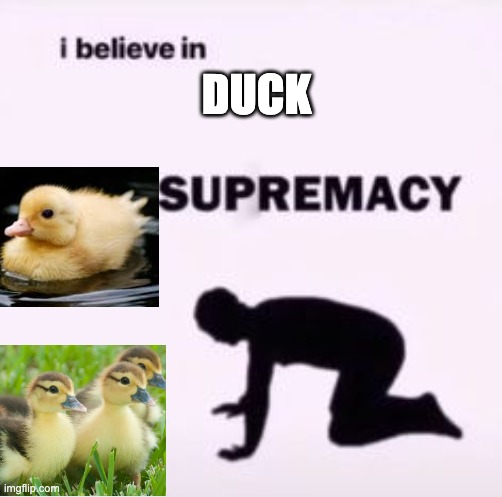I believe in supremacy | DUCK | image tagged in i believe in supremacy | made w/ Imgflip meme maker