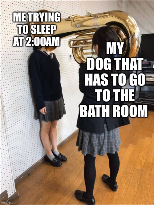 girl with horn | MY DOG THAT HAS TO GO TO THE BATH ROOM; ME TRYING TO SLEEP AT 2:00AM | image tagged in girl with horn | made w/ Imgflip meme maker